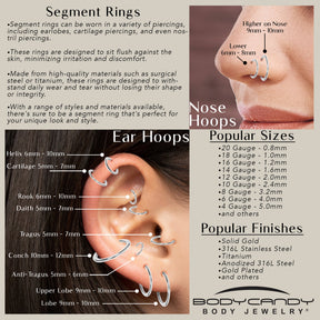 16G 3/8 Black PVD Hinged Segment Ring