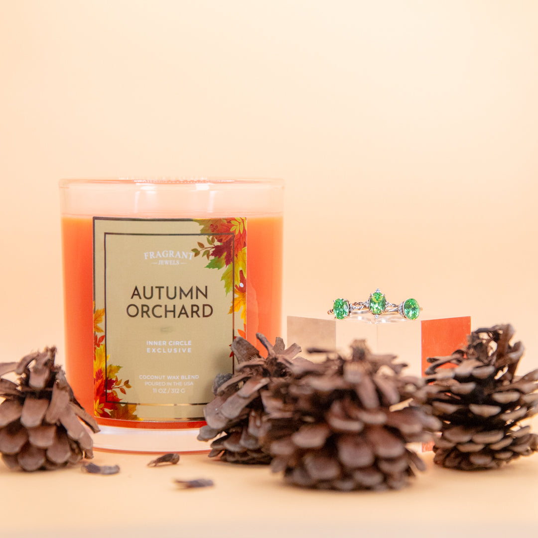 Autumn Orchard - Candle and Bath Bomb Set - Subscription Box