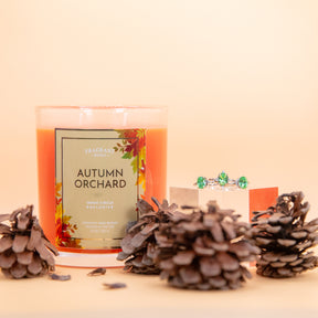Autumn Orchard - Candle and Bath Bomb Set - Subscription Box